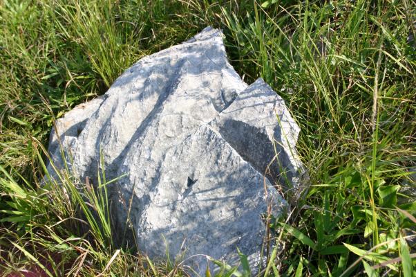 カルスト台地で横たう灰白色の石灰岩/癒し憩い画像データベース