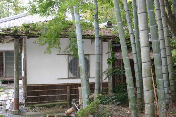 常栄寺の庭園（雪舟庭）の外庭に面した茶屋と竹林