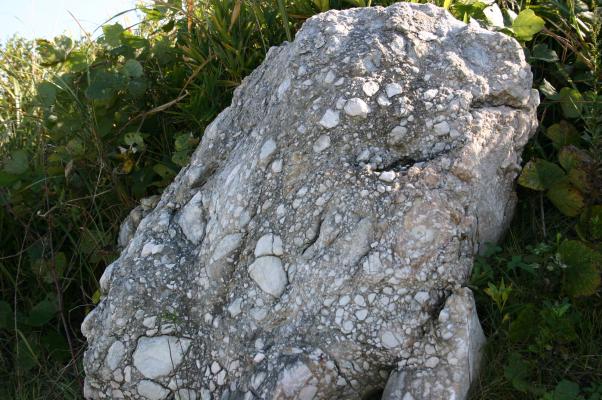 カルスト台地で存在感を示す石灰岩