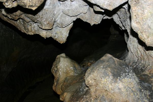 千仏鍾乳洞の鍾乳石と石筍