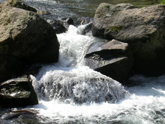 花合野川の流れ/癒し憩い画像データベース