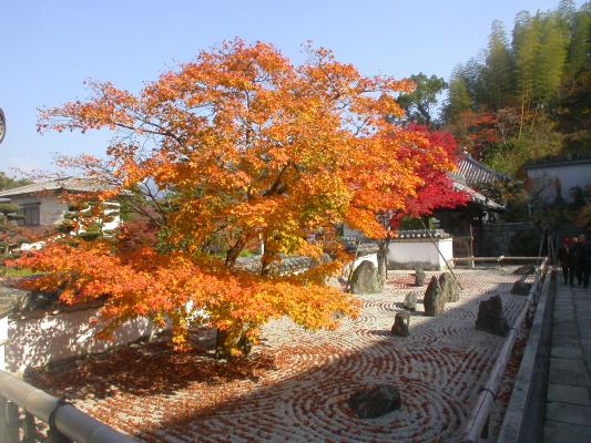 秋の仏光石庭