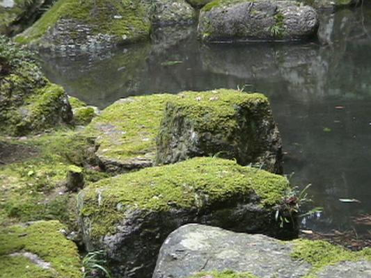 瀧谷寺の龍泉庭、苔むす岩と池
