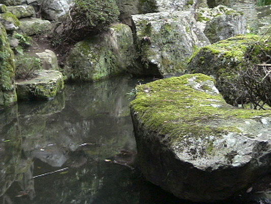 瀧谷寺の龍泉庭、苔むす岩