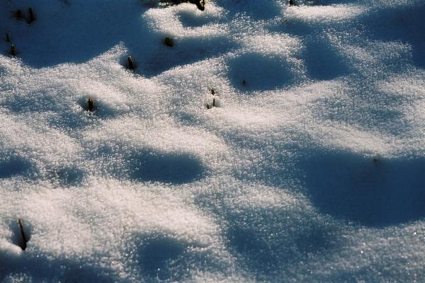 草地に積もった雪 癒し憩い画像データベース 625