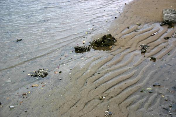 干潮時の河口、水際のさざ波と川底の砂紋