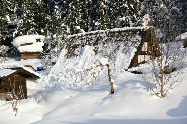 深い雪に囲まれた白川郷