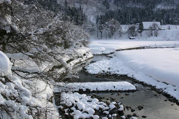 白川郷を流れる庄川の雪景色