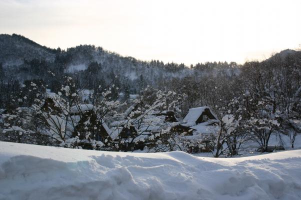 積雪の山、合掌造りの家並み、川沿いの冬木立