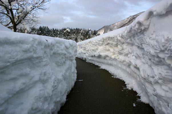 雪壁の細道