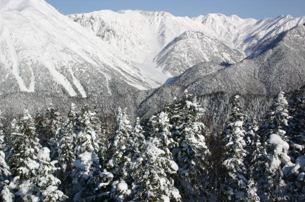 北アルプスの冬 山並みと麓の針葉樹林 癒し憩い画像データベース