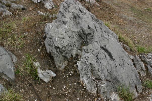 野焼き後に現れた石灰岩/癒し憩い画像データベース