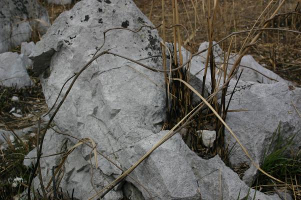 野焼き後の石灰岩