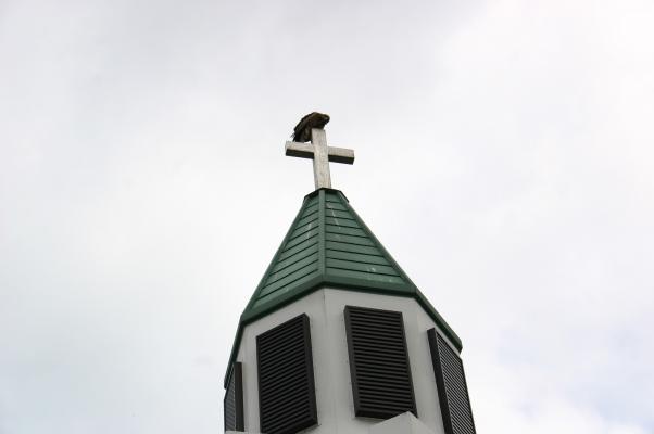 鳥が留まり続ける教会の十字架