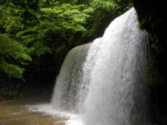緑葉期の鍋ヶ滝