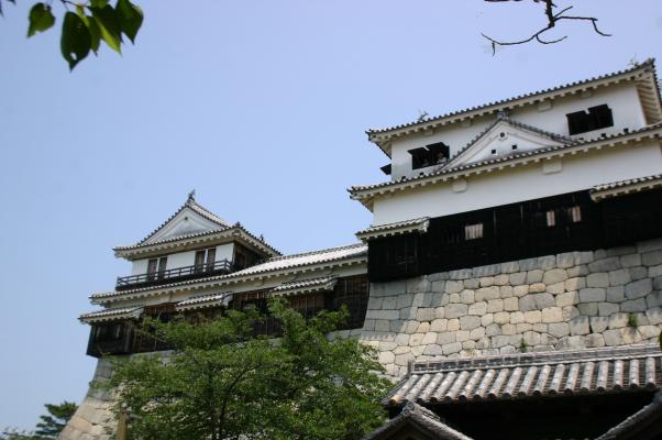 歴史を見つめる松山城