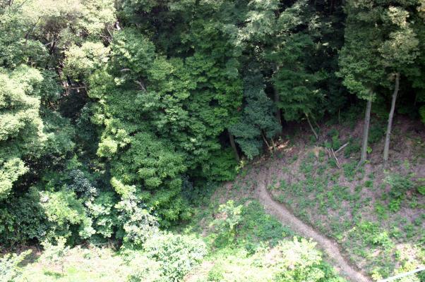松山城の森と小径