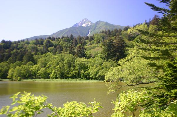 夏の姫沼と利尻富士