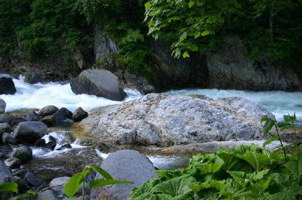 渓流の中で目を引く白い岩/癒し憩い画像データベース