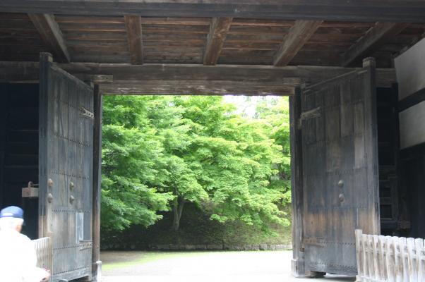 夏の弘前城、南内門の城門とモミジ