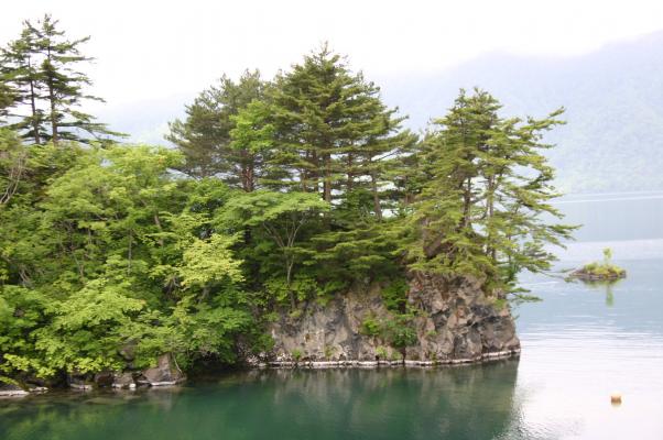 十和田湖内、緑が繁る恵比須大黒島