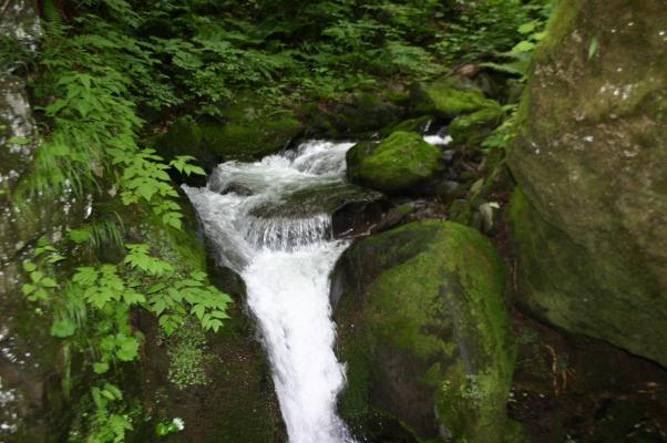 奥入瀬の「銚子大滝」からの渓流