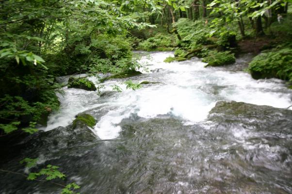 流れ下る夏緑の渓流