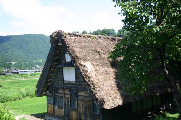 夏の白川郷、合掌造りの小屋