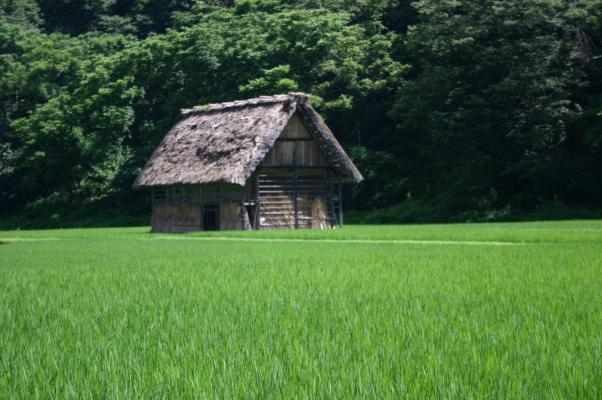 里村の小屋