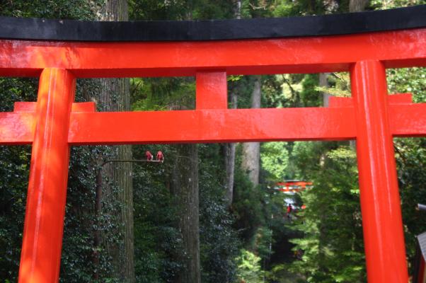 箱根神社の朱塗りの鳥居