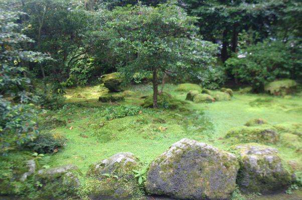 箱根神社の苔むす庭園