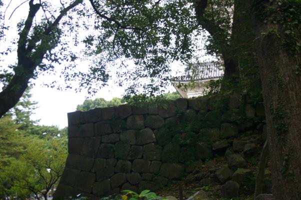 小田原城址の古い石垣