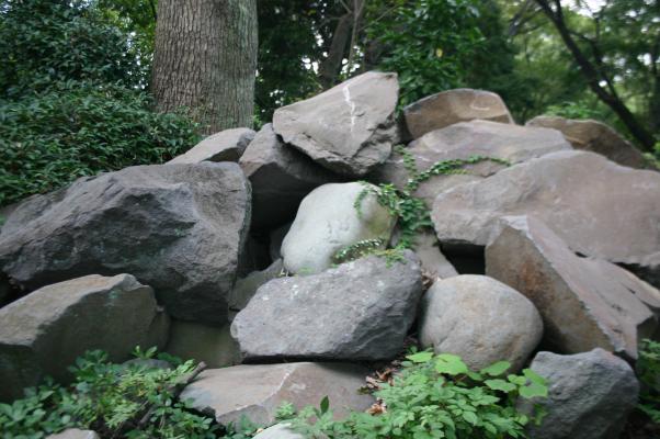小田原城址の古い岩