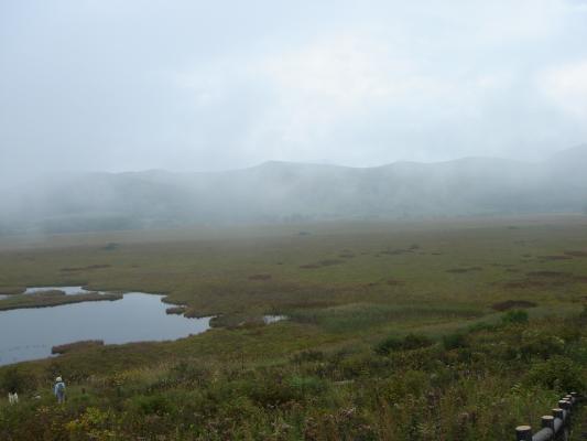 霧が晴れて来た八島ヶ原湿原