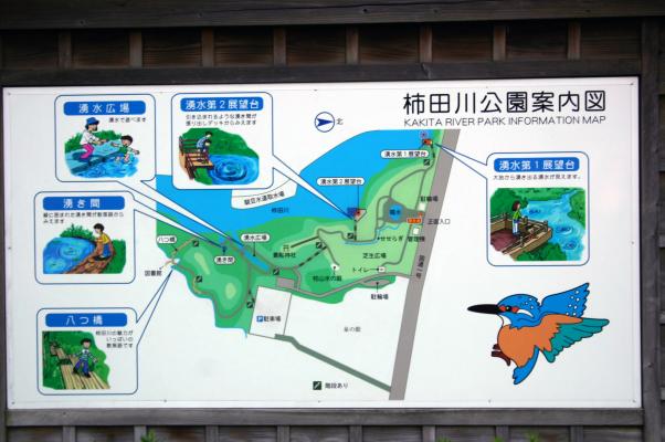 冨士山からの湧水群、柿田川公園の案内図