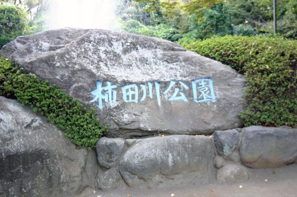 静岡の柿田川公園