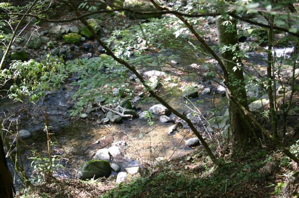 伊豆の旧天城峠わきの渓流/癒し憩い画像データベース