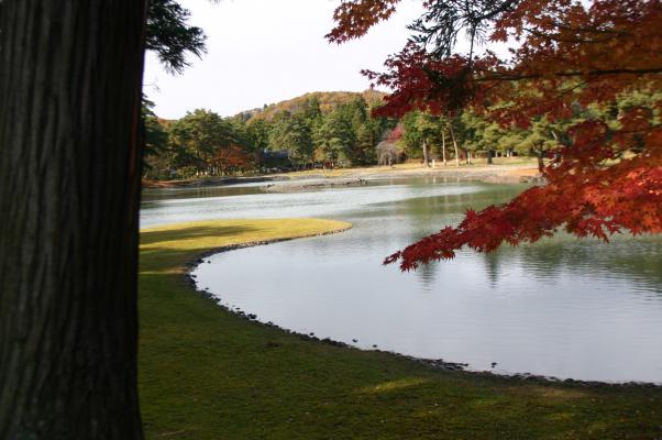 毛越寺の浄土庭園、大泉が池と突き出た洲浜
