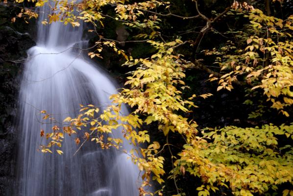 黄葉と天狗の滝