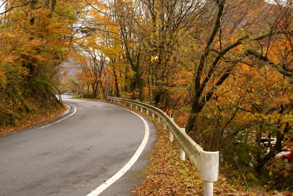 秋の山道