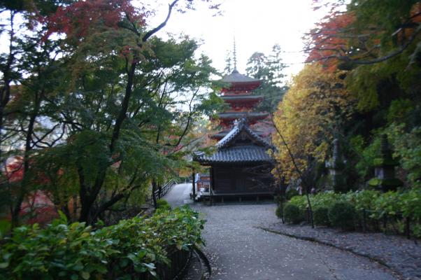 奈良長谷寺の本長谷と五重塔