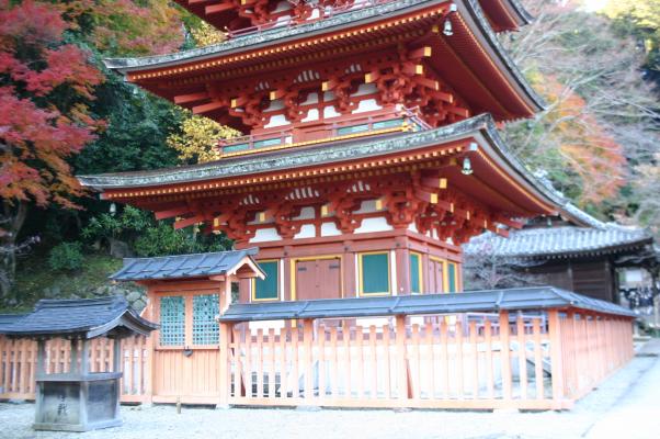 奈良長谷寺の五重塔と紅葉