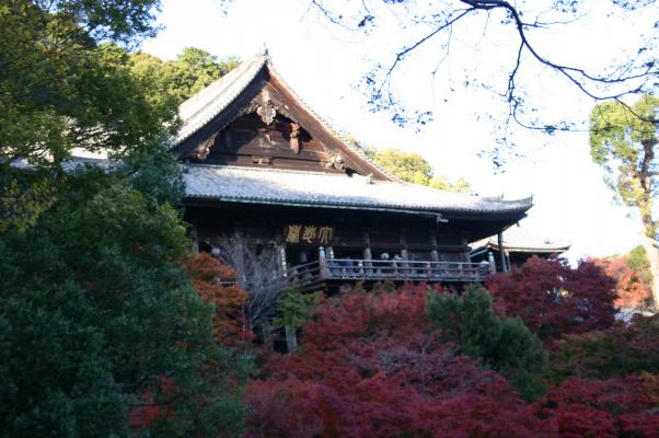 奈良長谷寺の本堂（国宝）と紅葉