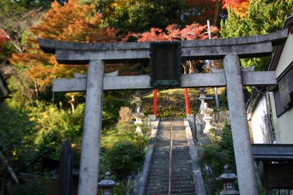 白髭神社の鳥居を彩る秋