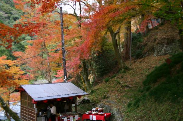 京都高雄の紅葉と茶店