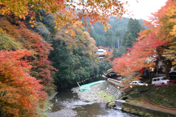 紅葉の高雄山を流れる清滝川