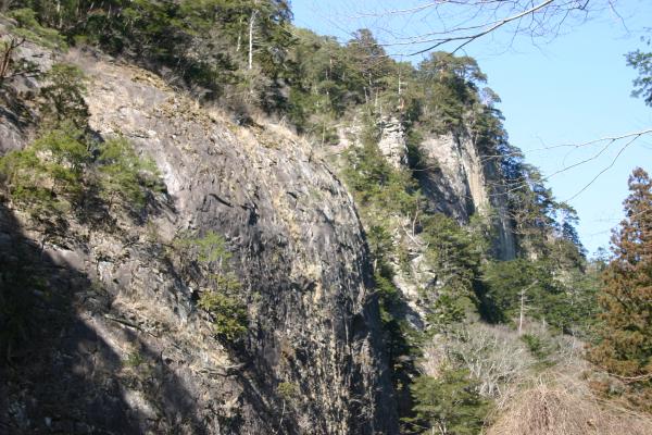 春の面河渓「高い岩壁」