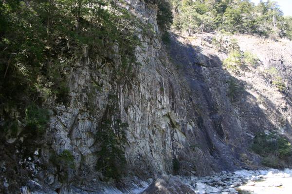 春の面河渓「岩断崖」