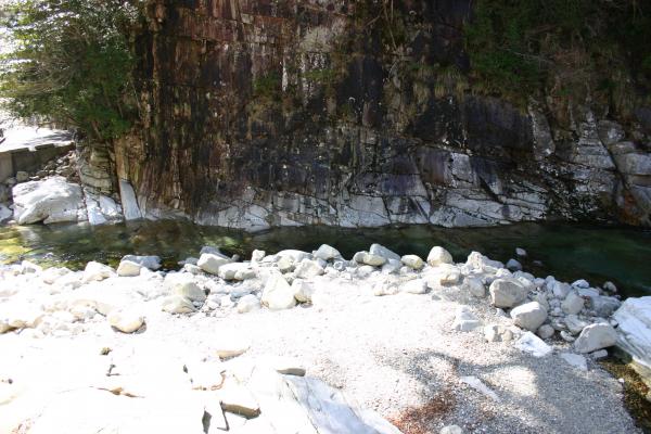 春の面河渓の岩床