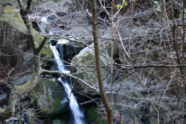 愛媛の「白猪の滝」からの渓流